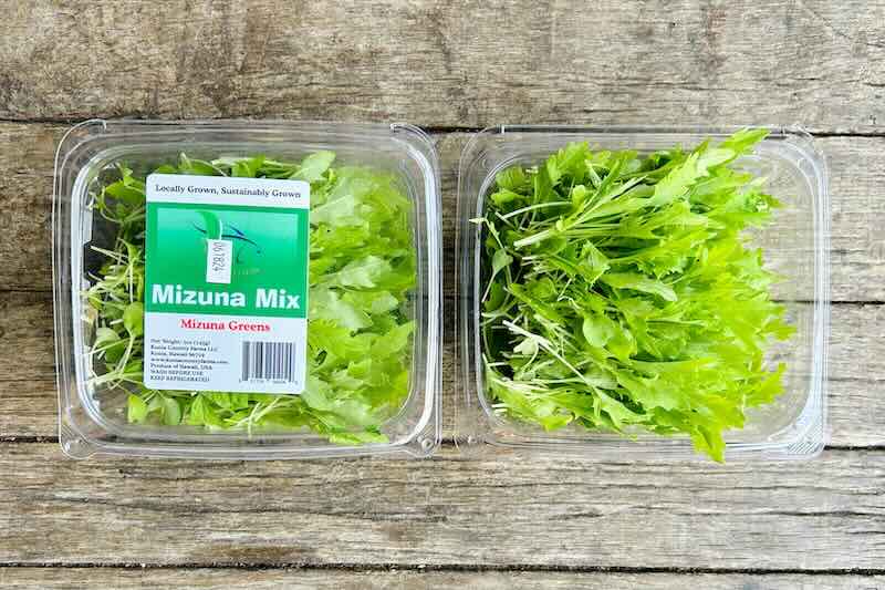 Mizuna Salad Mix