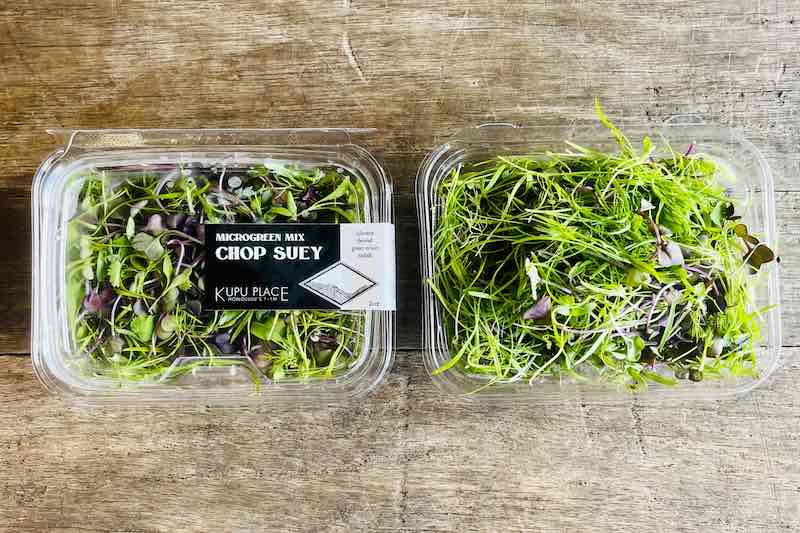 Chop Suey Mix Microgreen