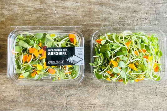 Sunshine Mix Microgreen