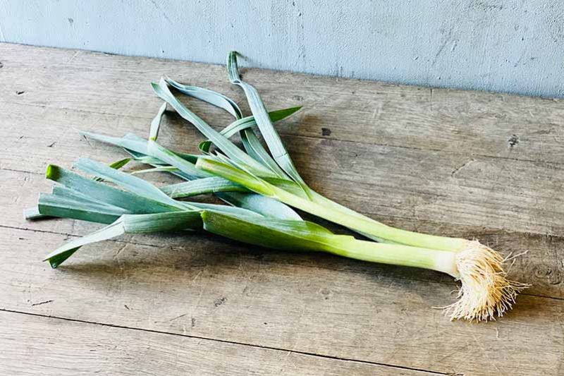 Organic Leek