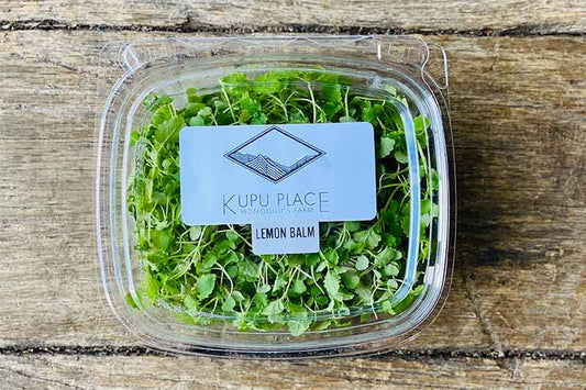 Lemon Balm Microgreen