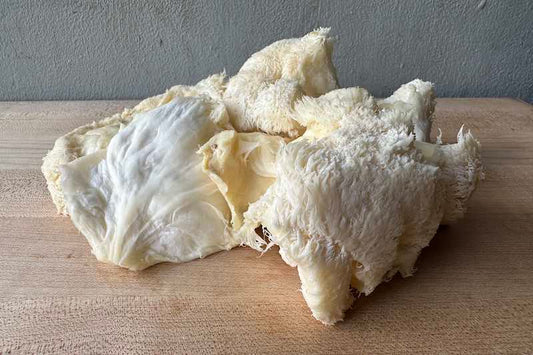 Lion's Mane Mushroom