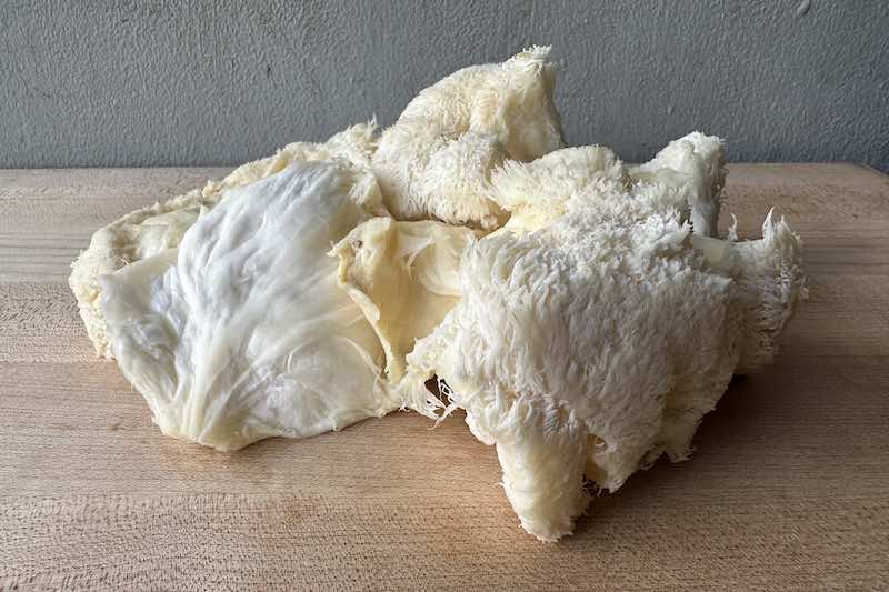 Lion's Mane Mushroom (Wholesale)