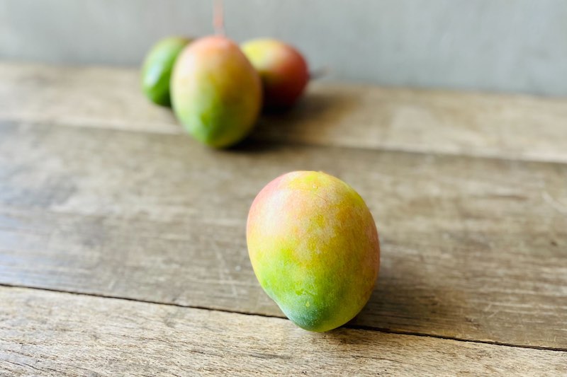 Mango Source Organic Mango – Farm Link Hawaiʻi