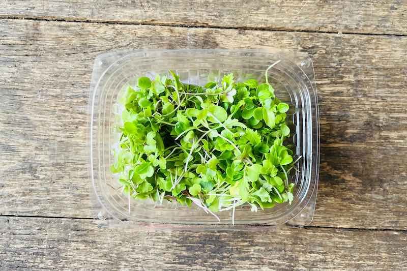 Mesclun Microgreen Mix