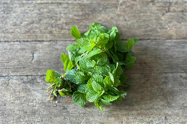 Mint – Farm Link Hawaiʻi
