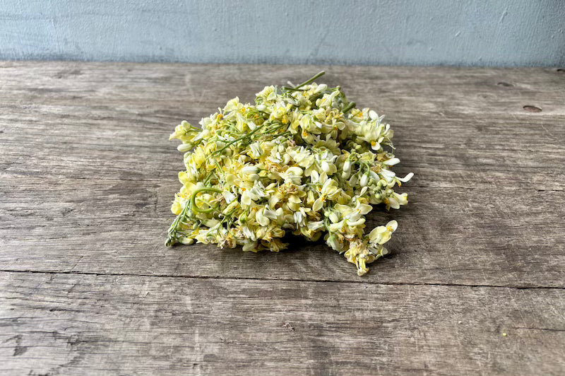 Organic Moringa Flowers