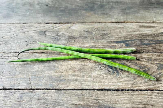 Organic Moringa Drumsticks