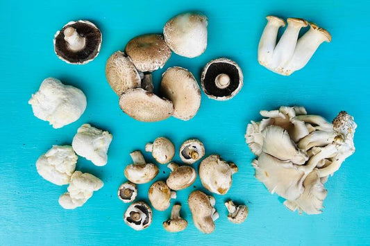 Mushroom Mixed Variety Pack