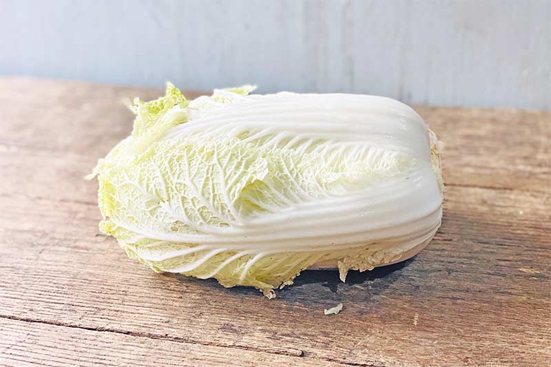 Napa Cabbage