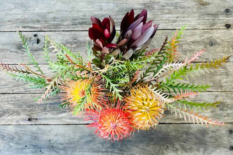 3 Stem Protea Bouquet