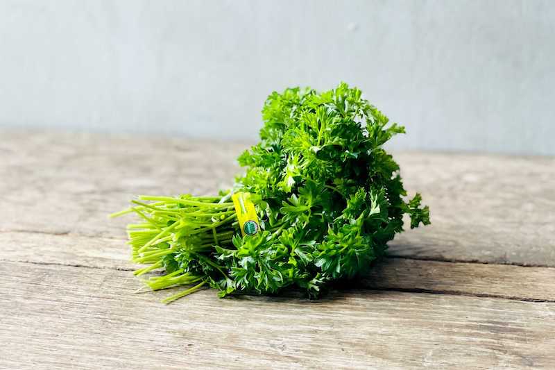 Organic American Parsley