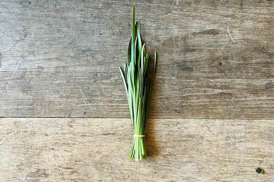 Organic Garlic Chive