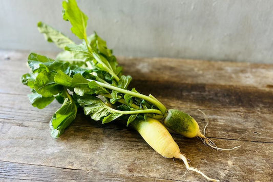 Organic Green Daikon With Tops