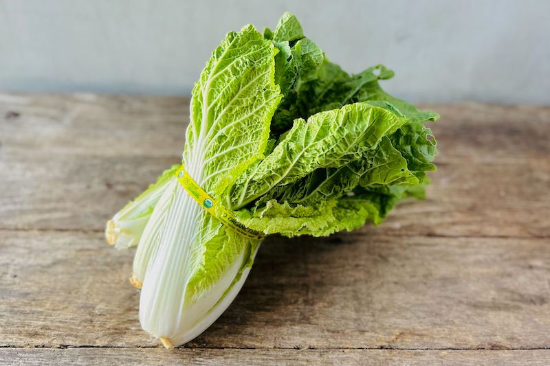 Organic Baby Napa Cabbage