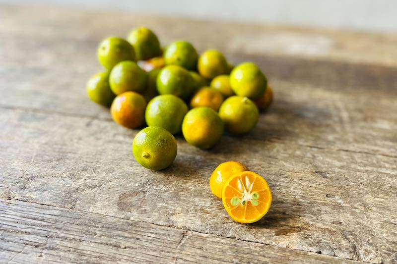 Java Lime Shikuwasa Lime – Farm Link Hawaiʻi