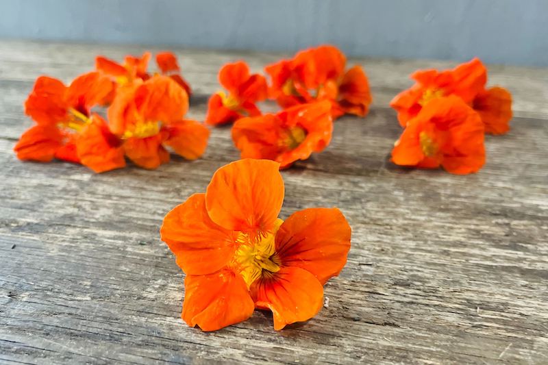 Organic Edible Flowers