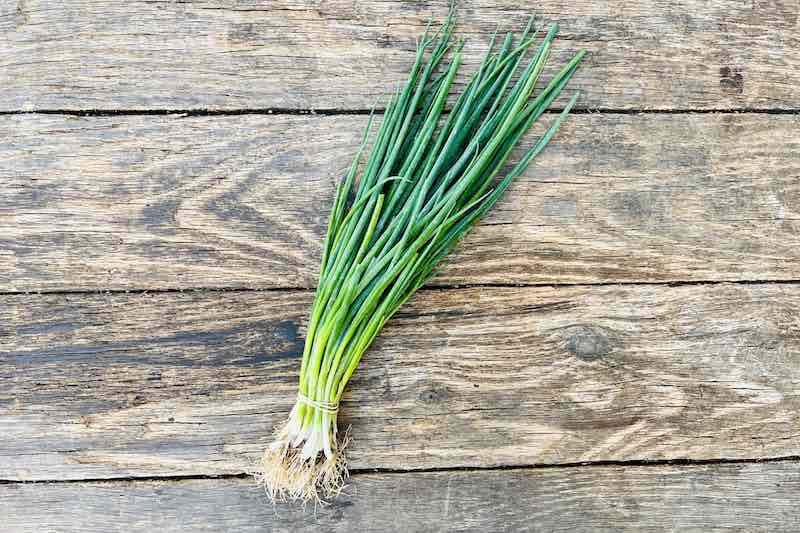 Organic Green Onion