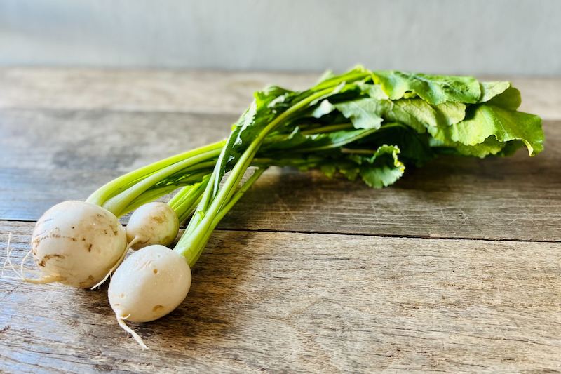 Organic Hakurei Turnip, With Tops (Wholesale)