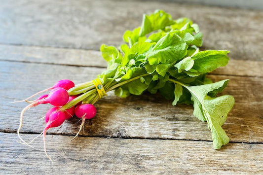 Organic Pink Radish, With Tops