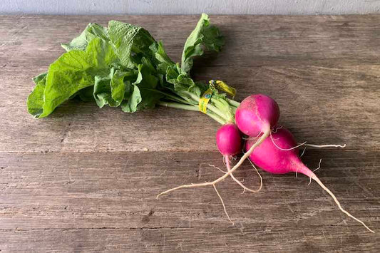 Organic Purple Radish