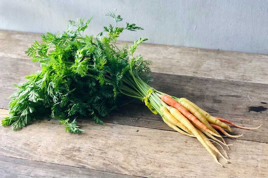 Organic Baby Rainbow Carrot With Tops