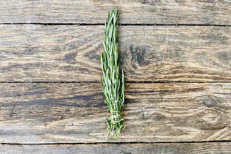 Rosemary