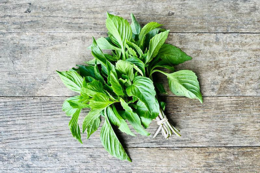 Organic Thai Basil