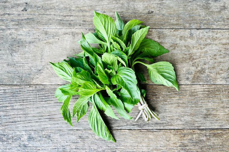 Thai Basil