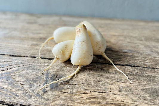 Organic White Daikon