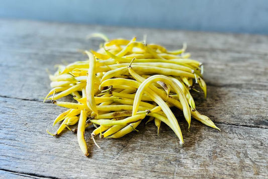 Organic Yellow Bean