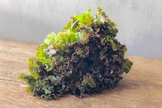 Organic Red Leaf Lettuce