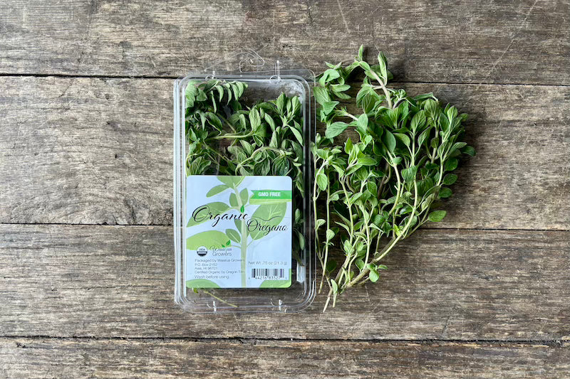 Organic Oregano