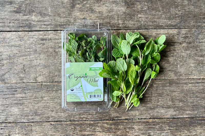 Organic Mint