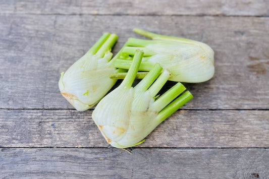 Organic Fennel Bulb