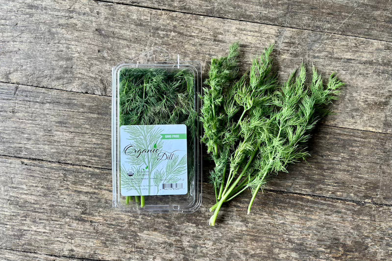 Organic Dill