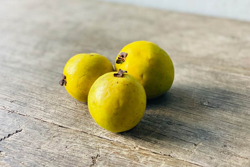 Pin Guava Pink Guava – Farm Link Hawaiʻi