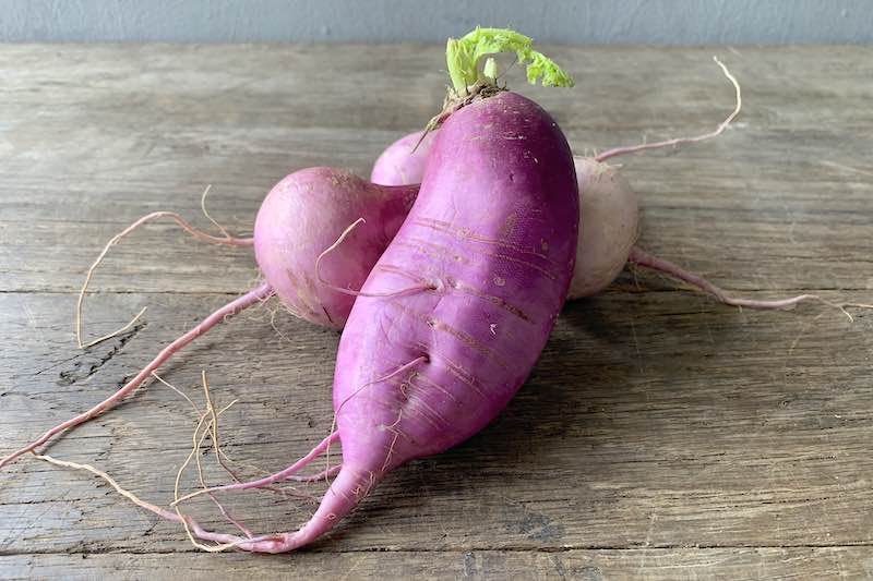 Purple Bravo Radish