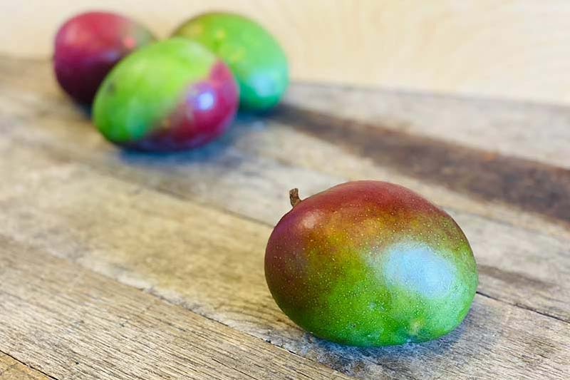 Rapoza Mango – Farm Link Hawaiʻi