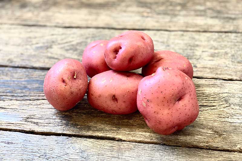 Red Potato