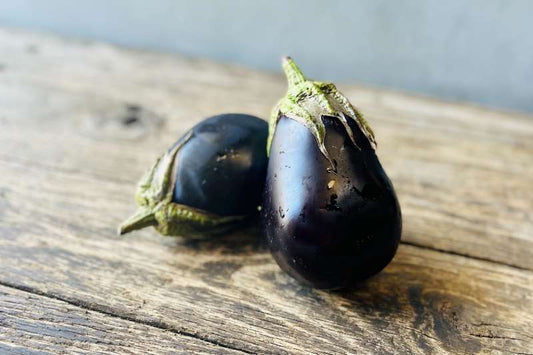 Processing Grade Italian Eggplant