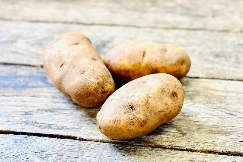 Russet Potato (Wholesale)