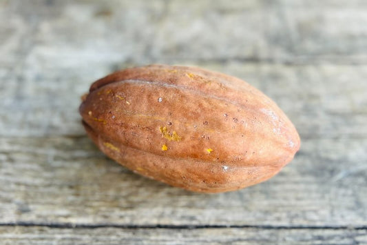 Cacao Pod