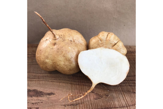 Organic Jicama