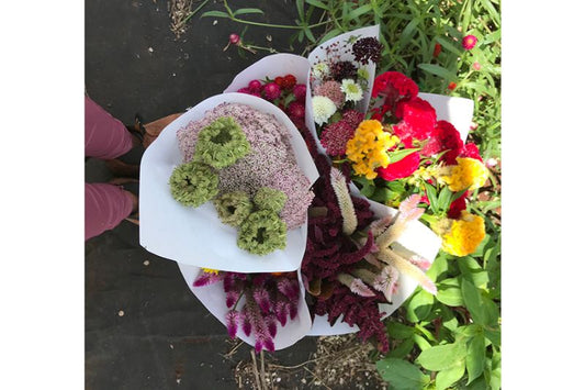 Cut Flowers, Feel Me FLOWer Bucket