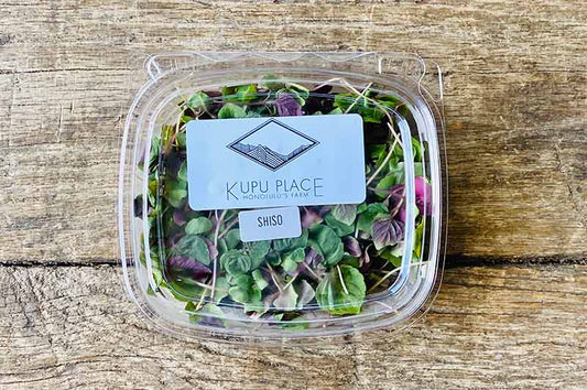 Shiso Microgreen