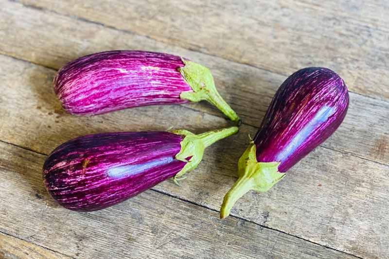 Graffiti Eggplant