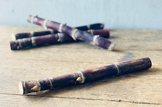 Purple Sugarcane