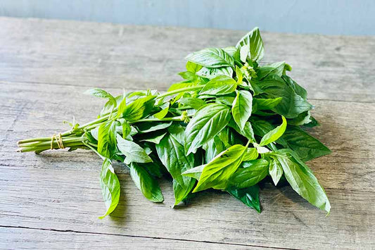 Italian Basil