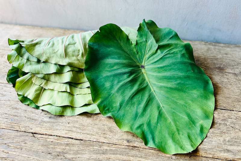 Lūʻau Leaf